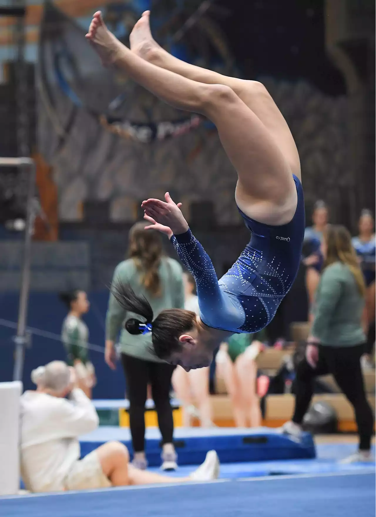 Girls gymnastics: Lake Park 2nd to DeKalb-Sycamore at sectional, hopes for at-large state berth