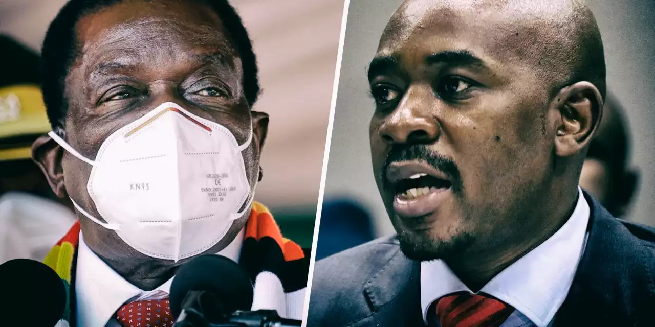 NORTHERN EXPOSURE OP-ED : Zimbabwe’s voters favour Nelson Chamisa over President Mnangagwa, survey shows