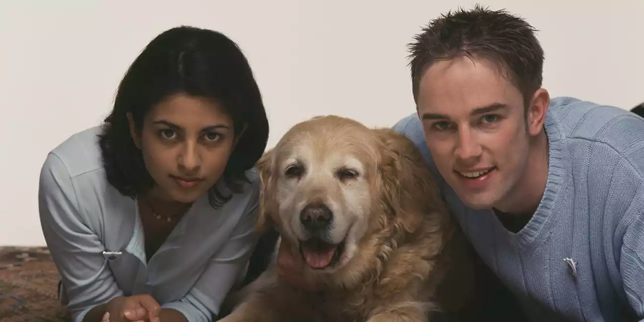 Blue Peter presenters Matt Baker, Simon Thomas and Konnie Huq have sweet reunion