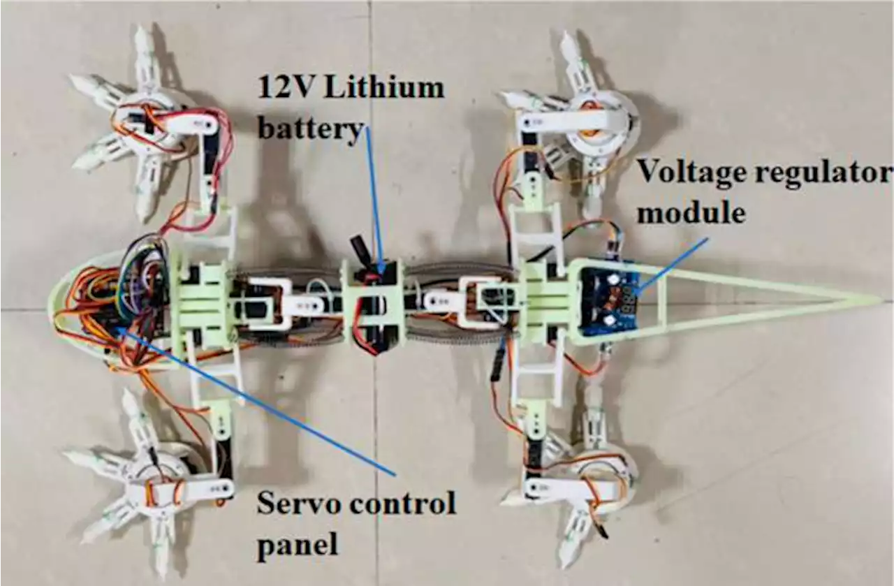 Un robot inspirado en un lagarto buscar explorar la superficie de Marte