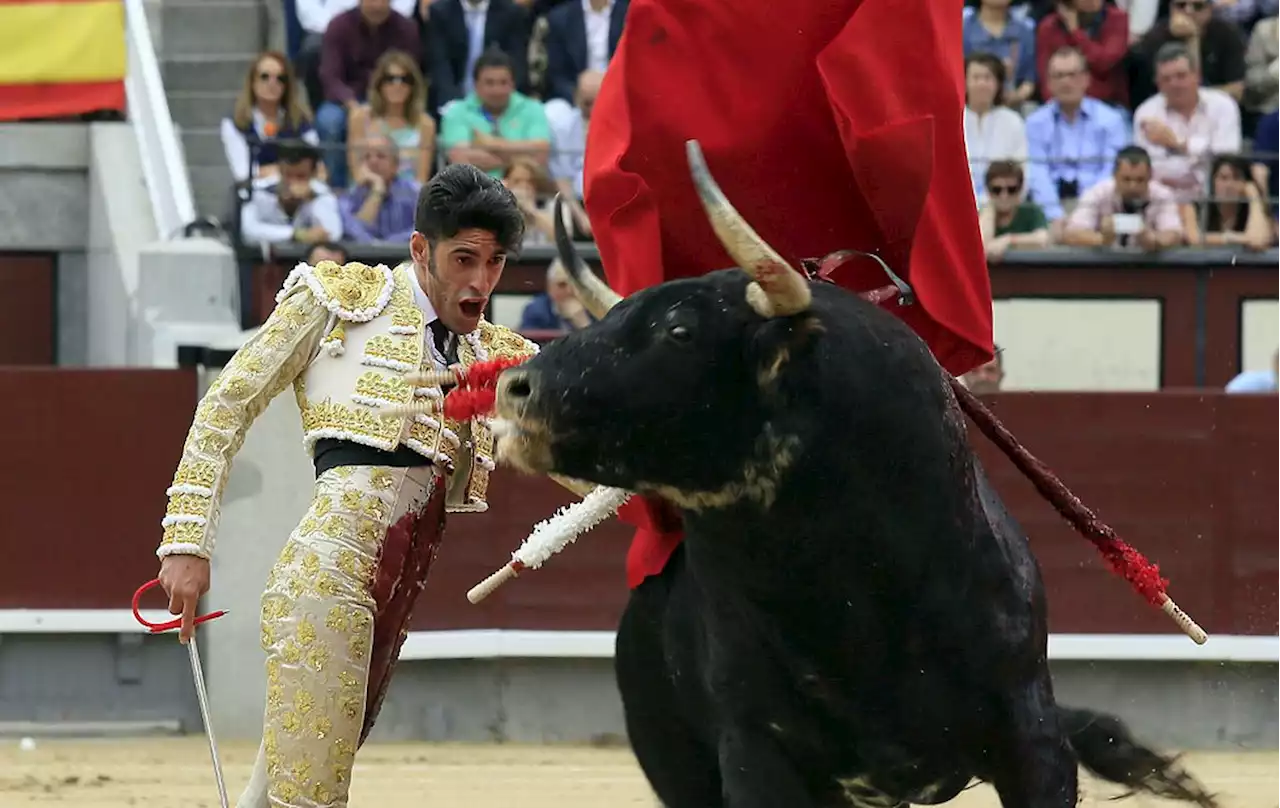 El Supremo anula la exclusión de los toros del Bono Cultural Joven