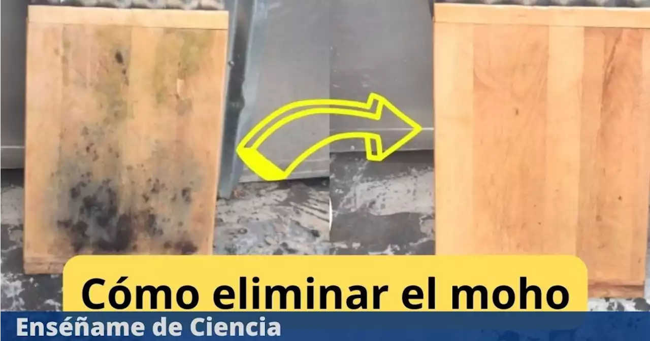 Elimina el moho de los muebles de madera: trucos infalibles para acabar con el problema