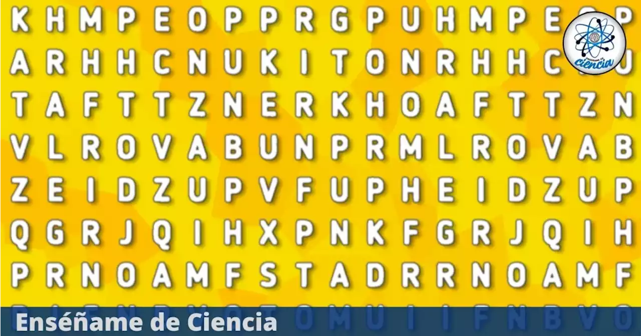 Encuentra la palabra “PERRO” en la sopa de letras; diviértete con el acertijo visual del momento