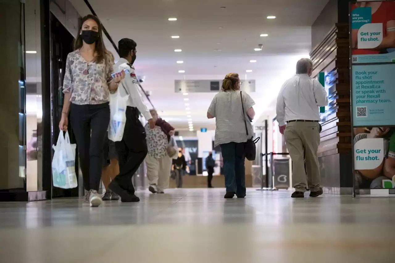 Ontario’s economy expected to slow sharply, but rebound next year, fiscal watchdog says