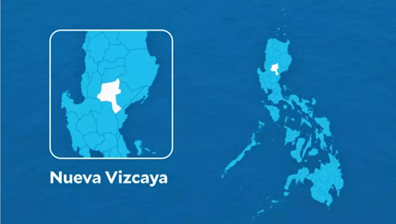 P1.48M ‘hot’ logs seized in Nueva Vizcaya town