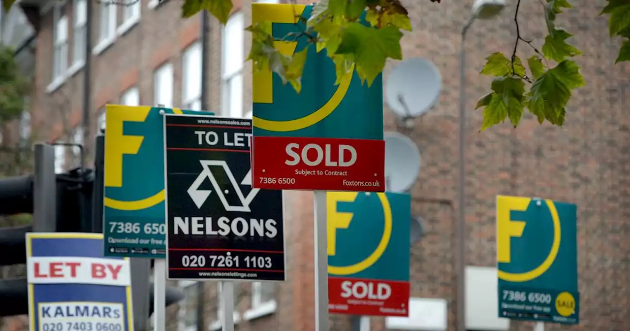 UK house prices stabilised in January after drop, Halifax says