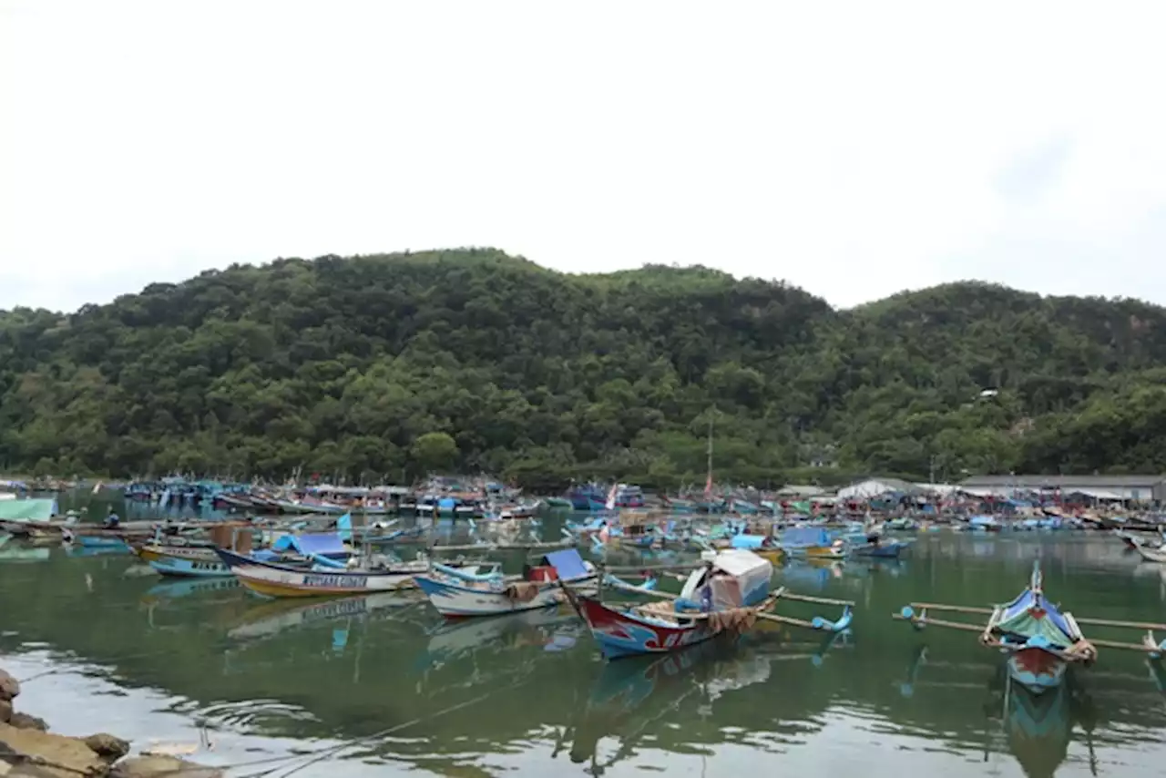 Bibit Siklon Tropis Picu Gelombang Tinggi Perairan Selatan