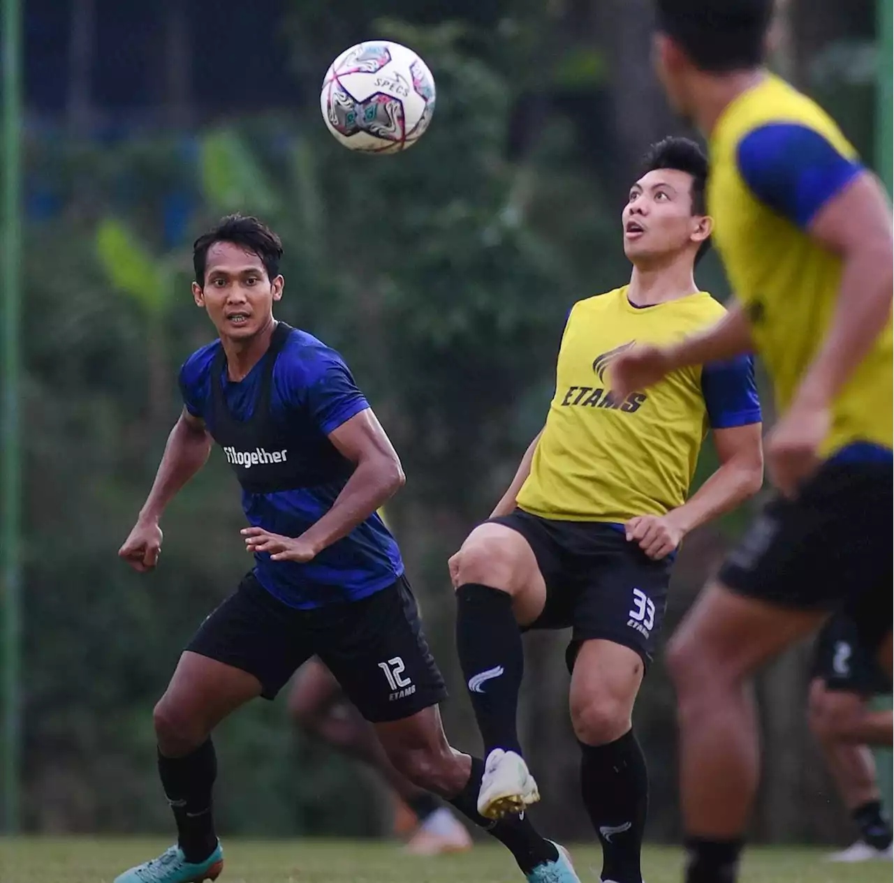 Dewa United vs Borneo FC Digelar Besok, Cek Harga Tiket dan Cara Belinya di Sini