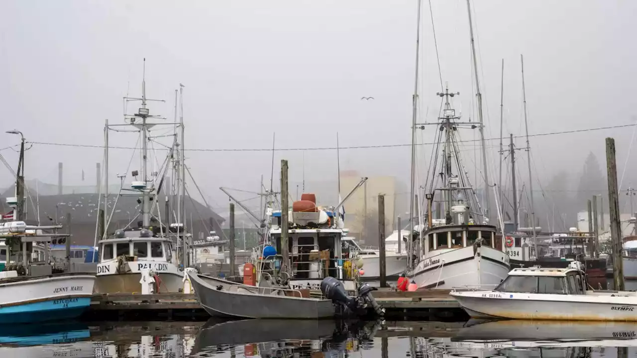 More Southeast Alaska communities set to join opposition to lawsuit that threatens king salmon fishery