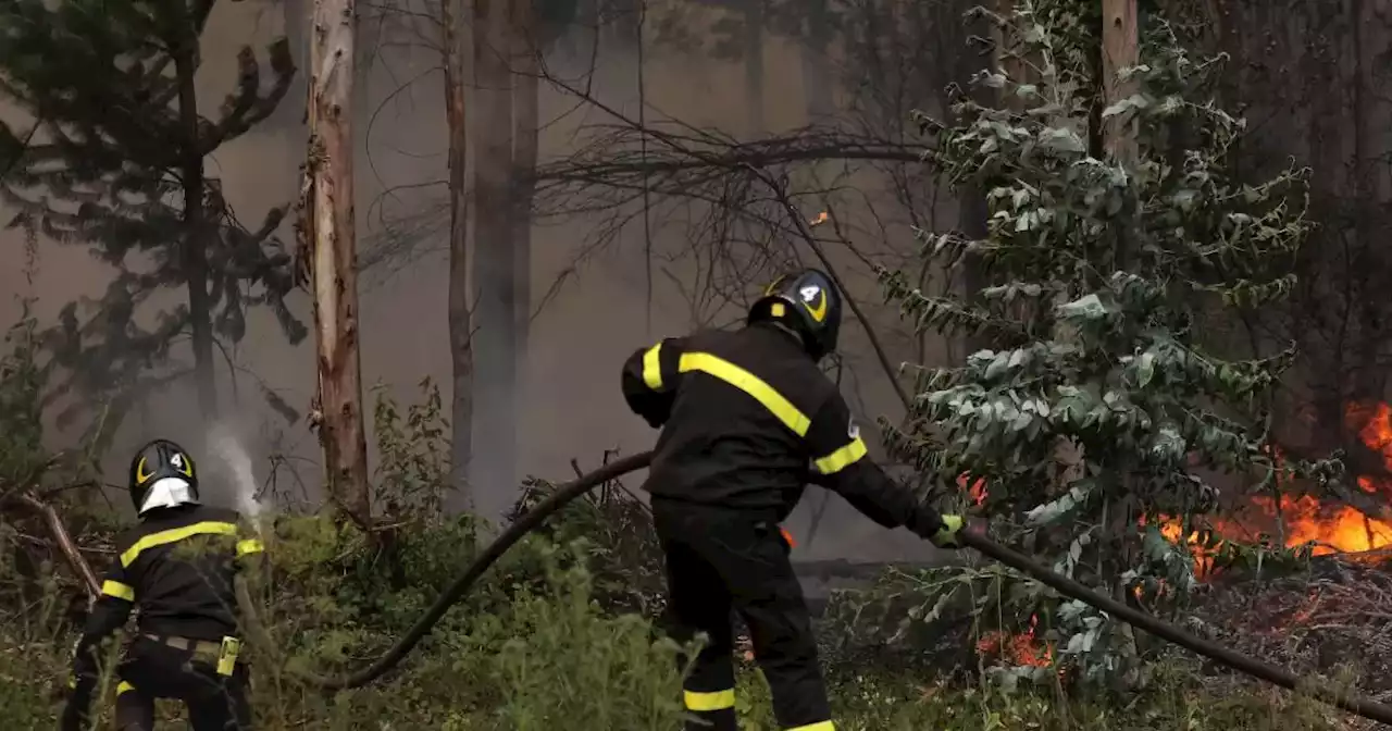 Expertos colombianos viajan a Chile para ayudar a mitigar los incendios forestales