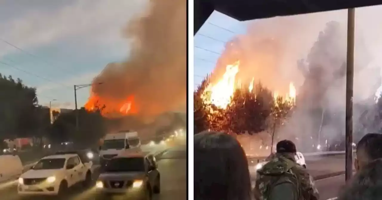 Registraron fuerte incendio sobre la autopista Norte: Bomberos atienden la emergencia