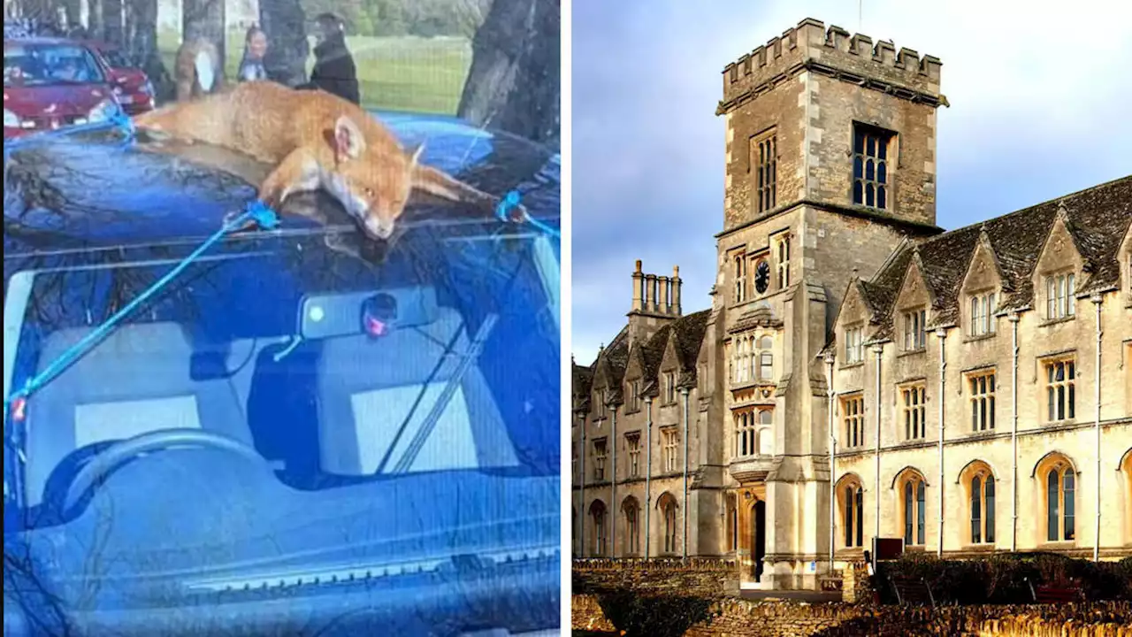 Students at top British agricultural university strap dead fox to car roof in sick stunt at charity rally