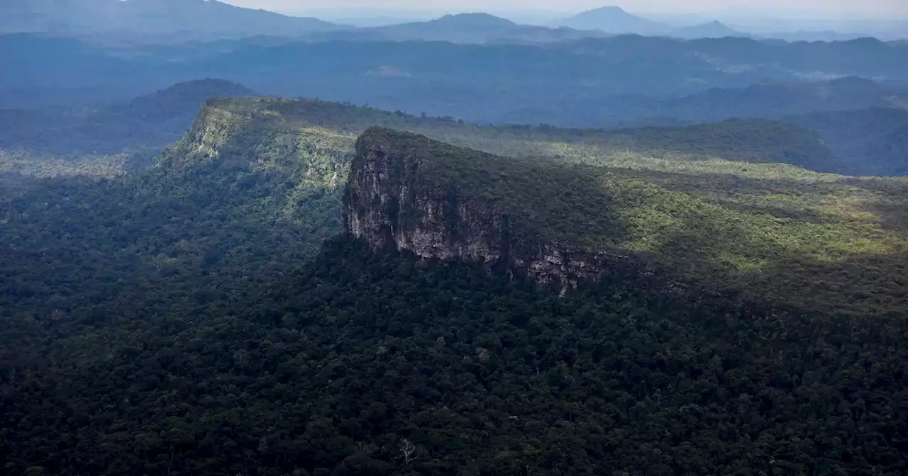 Brésil: des orpailleurs fuient les terres yanomami avant l'arrivée de la police