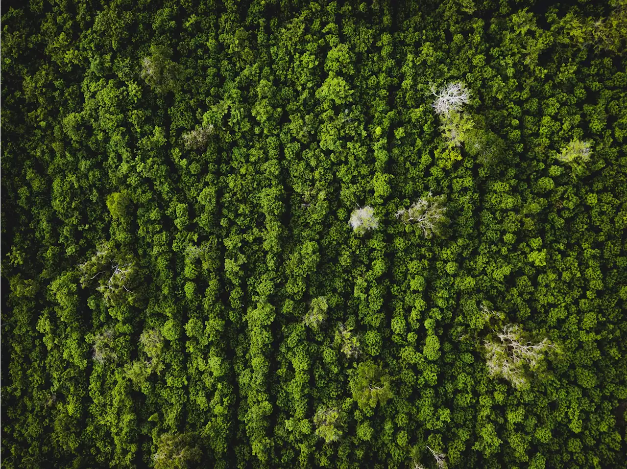 Bonne nouvelle : le trou dans la couche d’ozone a presque disparu