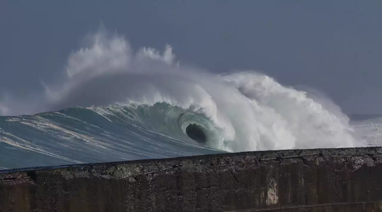 New device converts wave energy into electricity to power tsunami, hurricane sensors