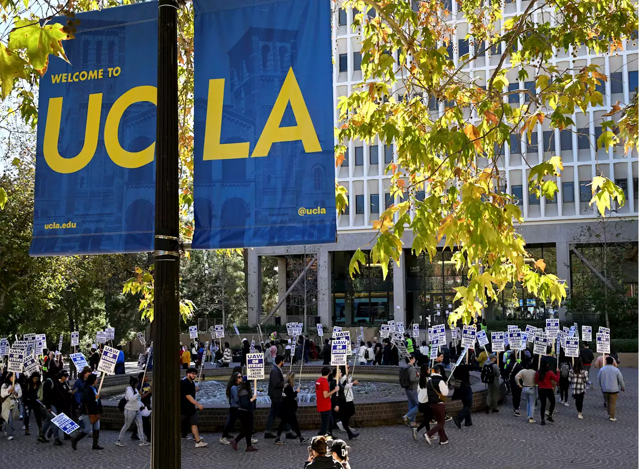 UCLA Student Describes Chilling Encounter With Man Sought in Campus Attacks