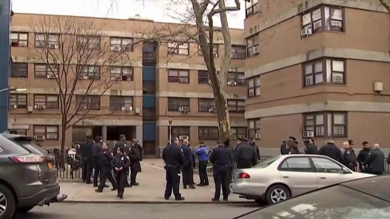 Two Teens Shot Near Brooklyn High School: Police