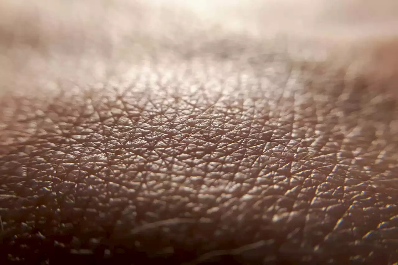 Artificial skin can detect nearby objects without even touching them