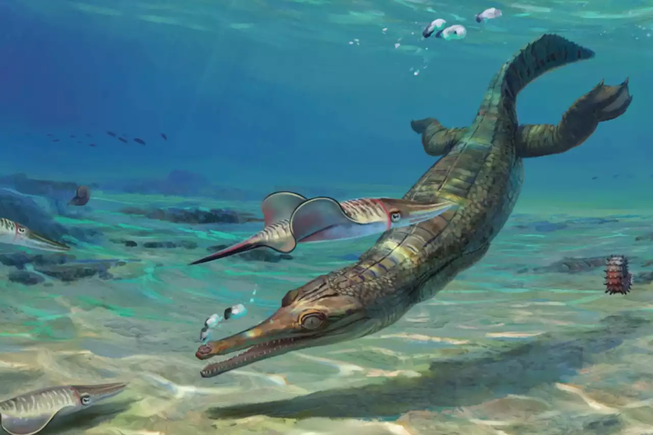 Ancient crocodile-like creature sheds light on pre-Jurassic earth