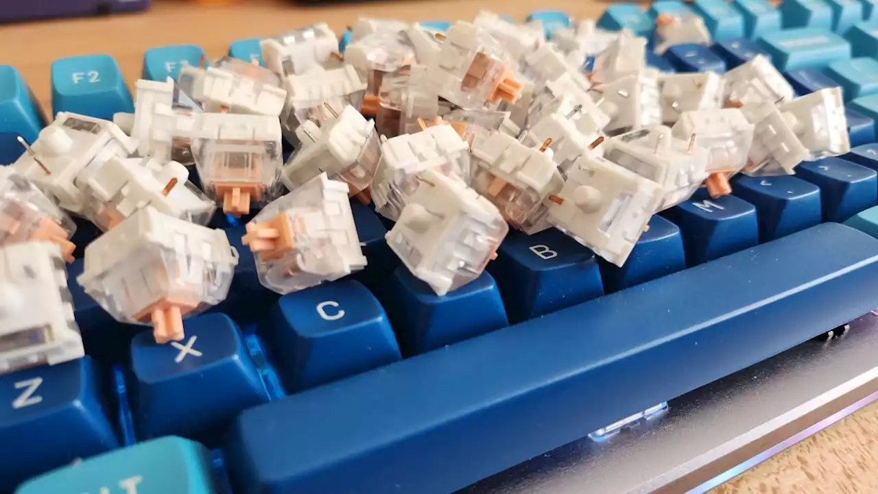 Using a hot-swappable keyboard cherry-pilled me into a custom keyboard obsession