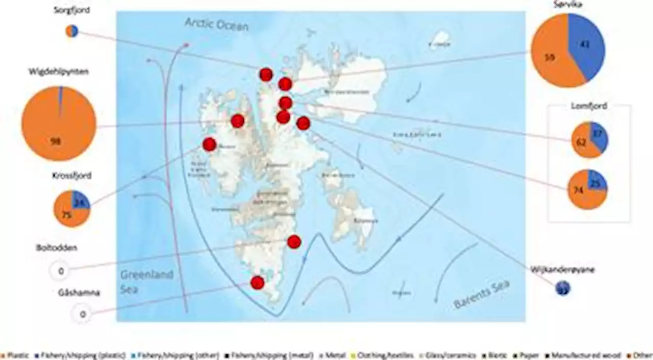 Frontiers | Where does Arctic beach debris come from? Analyzing debris composition and provenance on Svalbard aided by citizen scientists