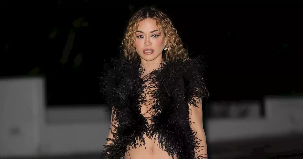 Rita Ora's Backless Naked Dress Features a Strip of Black Feathers