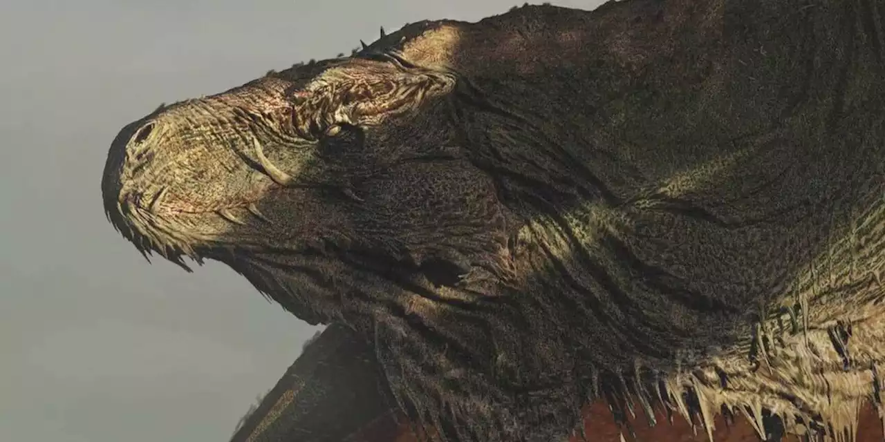 House Of The Dragon Vhagar Concept Art Explores Show’s Biggest Dragon In Detail