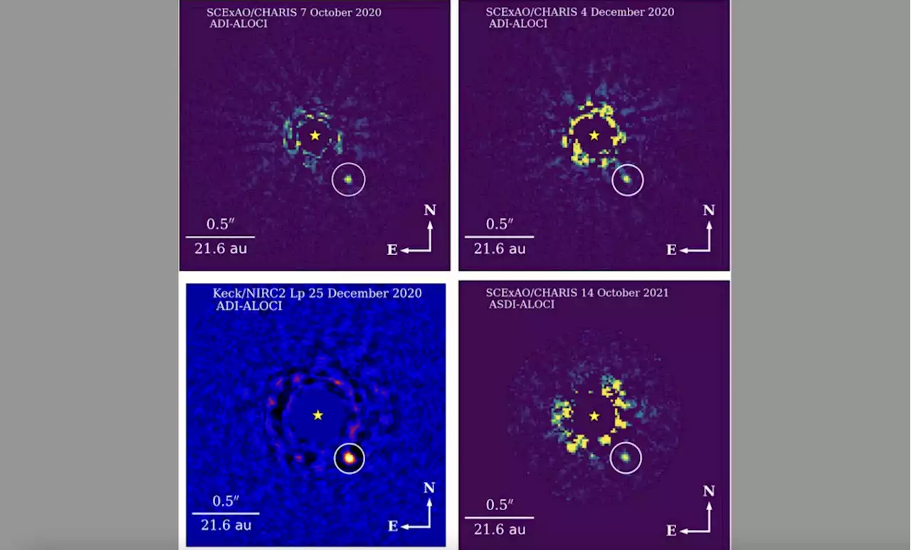 'Failed star' brown dwarf imaged in nearby star cluster (photos)