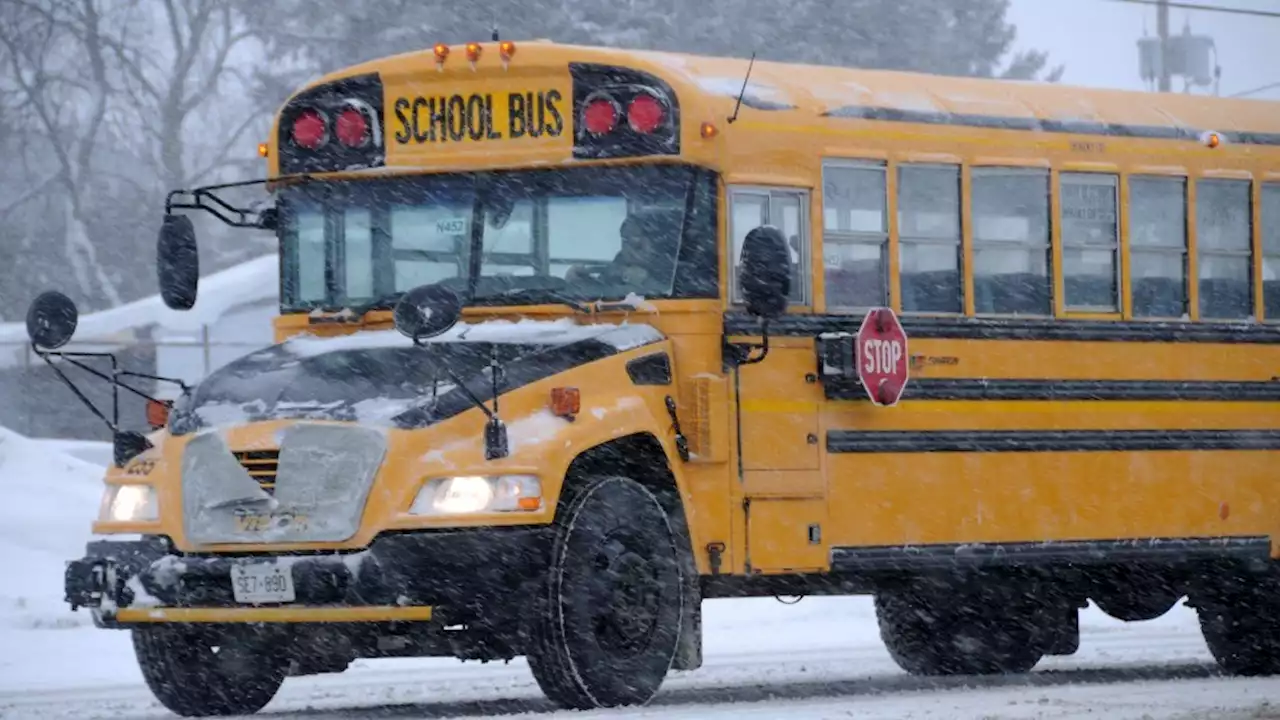 School buses cancelled across the district today