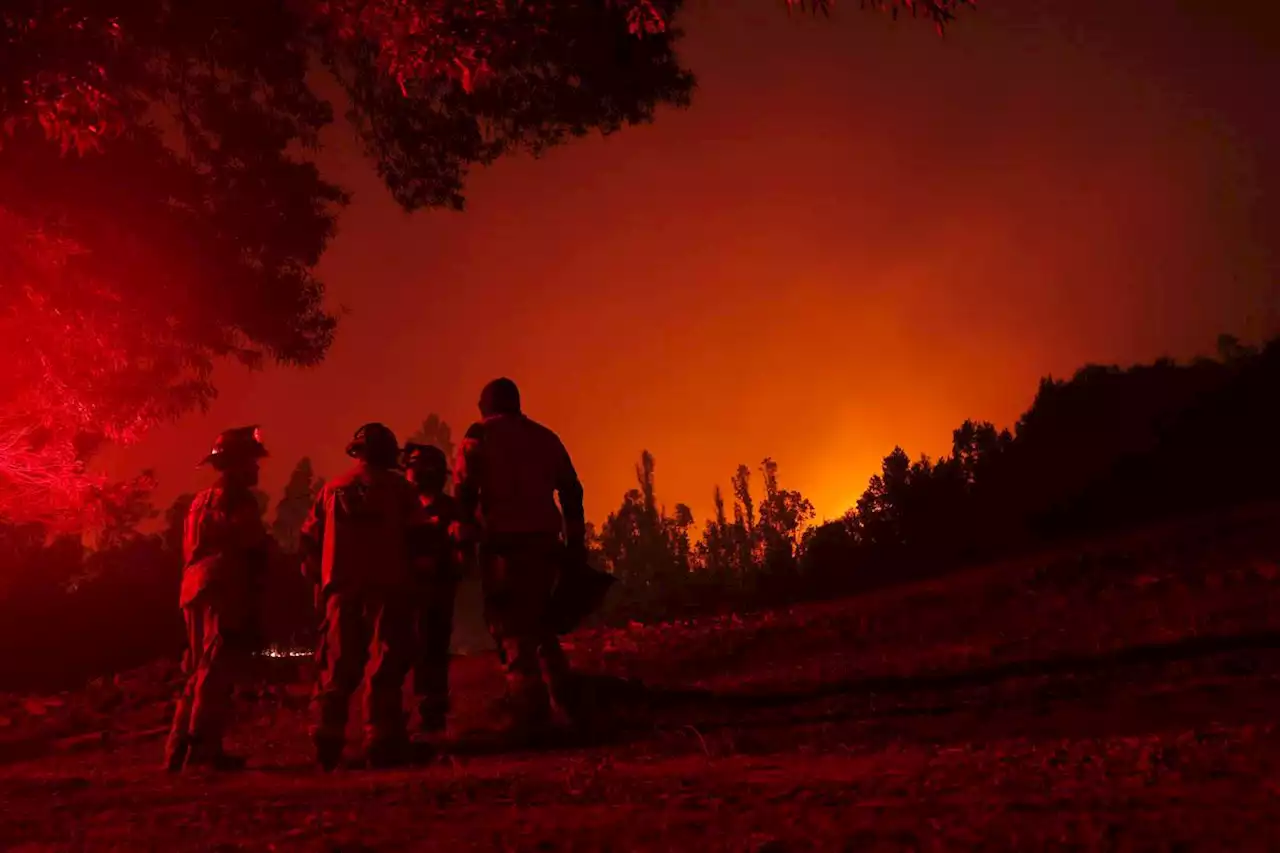 Feux de forêts : la France envoie 80 secouristes au Chili