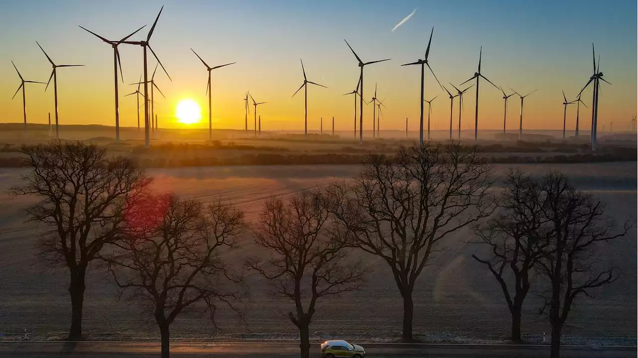 Sonniges Winterwetter: Frostige Temperaturen bei blauem Himmel in Berlin und Brandenburg