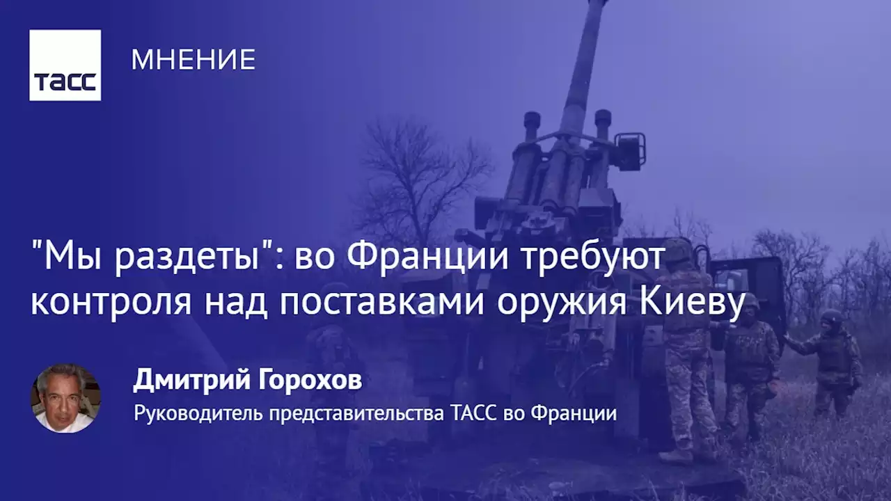 'Мы раздеты': во Франции требуют контроля над поставками оружия Киеву - Мнения ТАСС