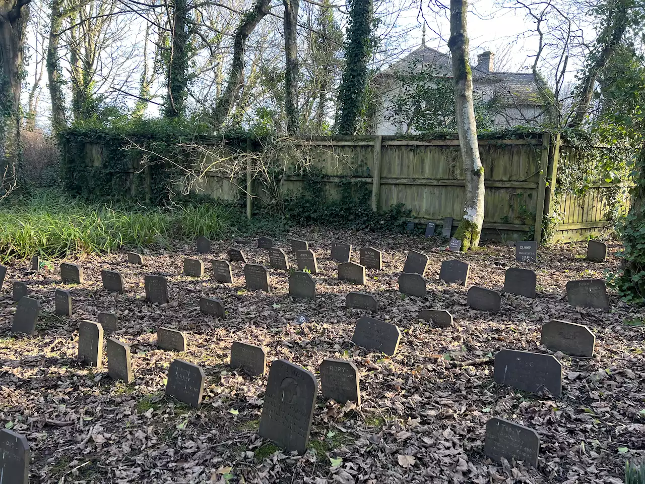 Inside mystery of cemetery with tiny gravestones hidden away in woodlands