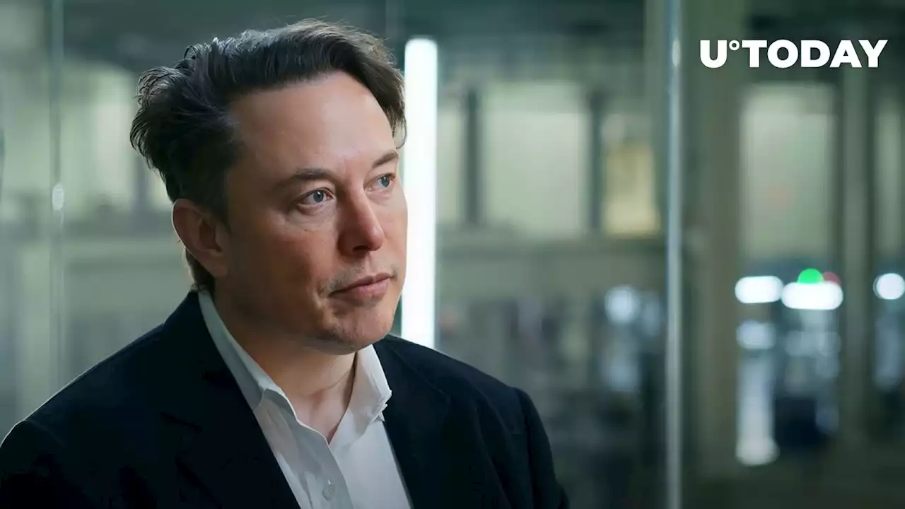 Elon Musk Joins AI Hype as These Tokens' Prices Go Vertical