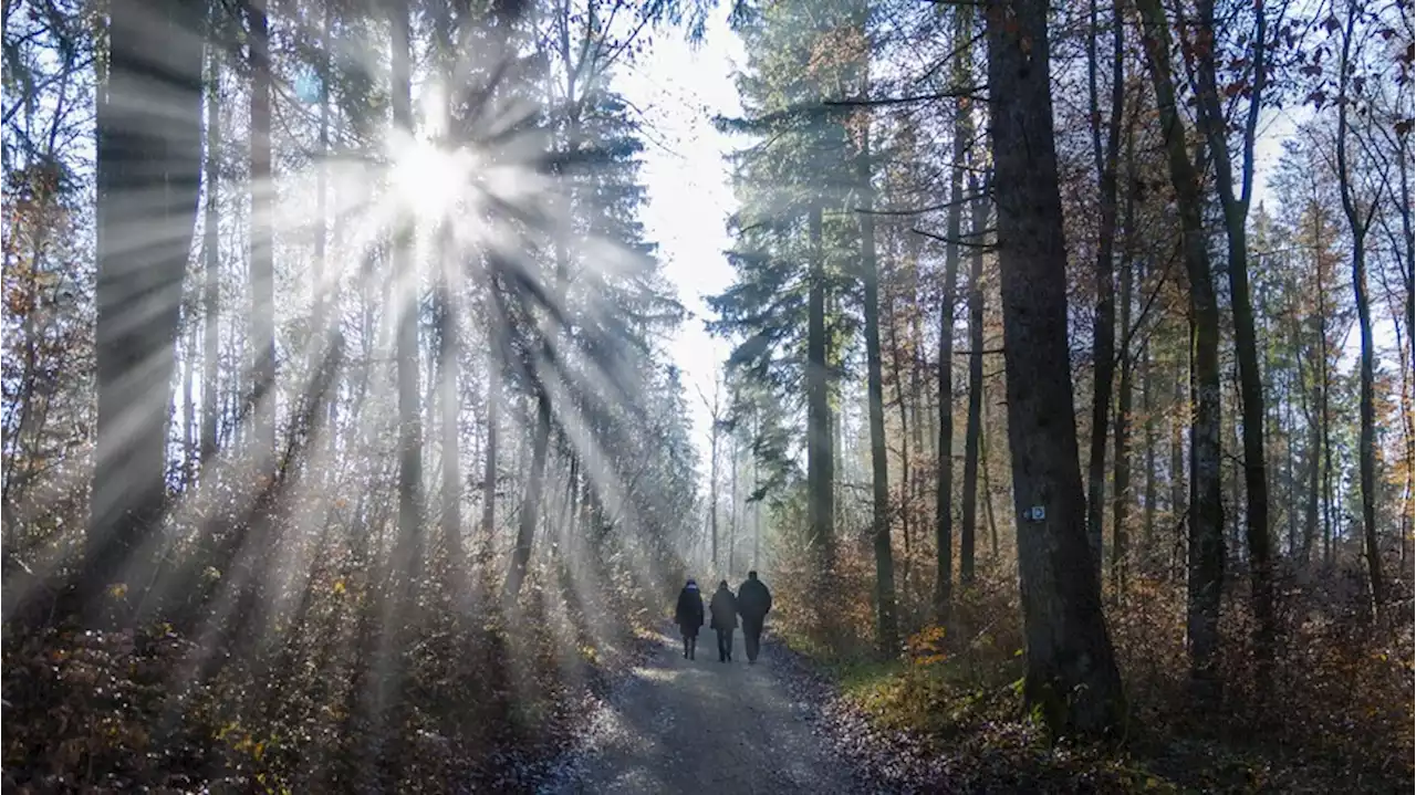 Wetter in Deutschland: Frühling im Anmarsch – aber mit klirrend kalten Nächten