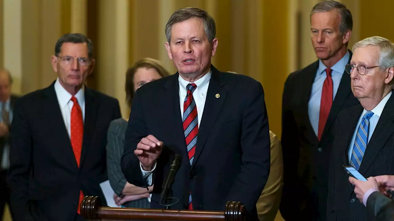 Twitter suspends Sen. Steve Daines’s account