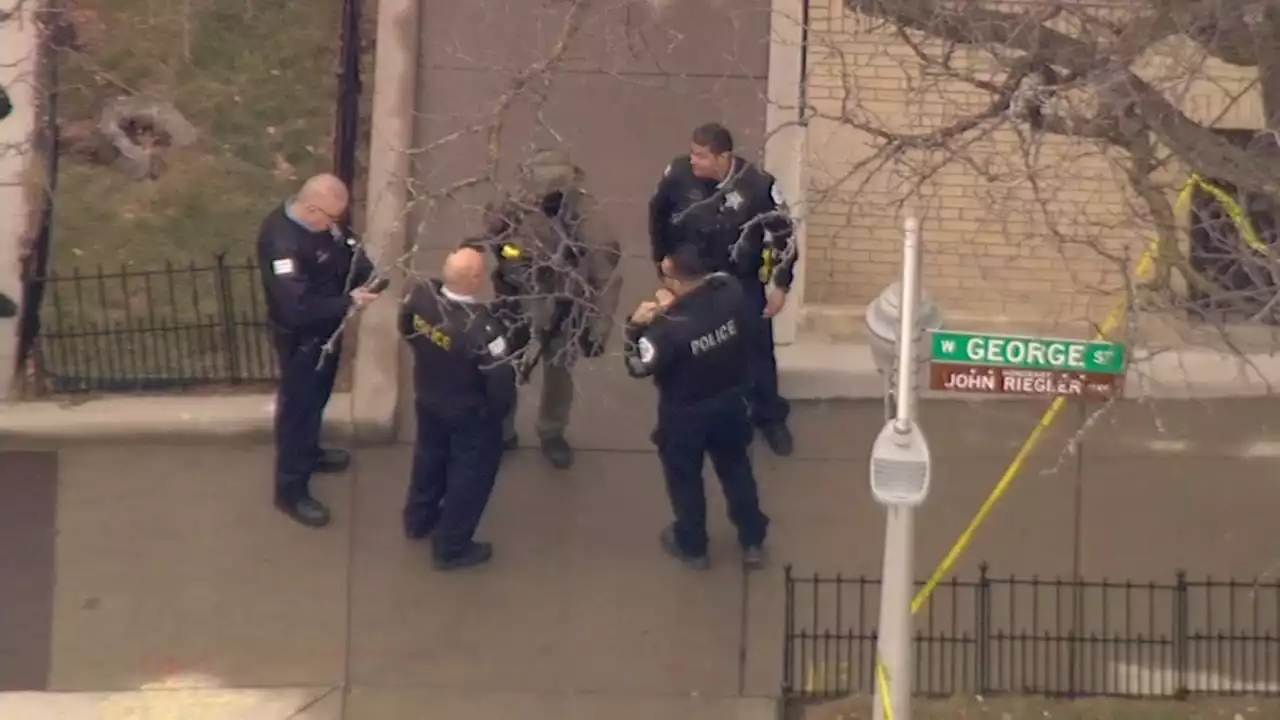 SWAT situation in Lakeview after 2 dogs shot, Chicago police say