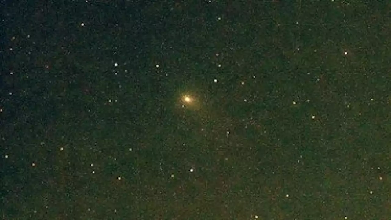 Astrónomos platenses registraron la primera imagen del 'cometa verde' en cielo argentino