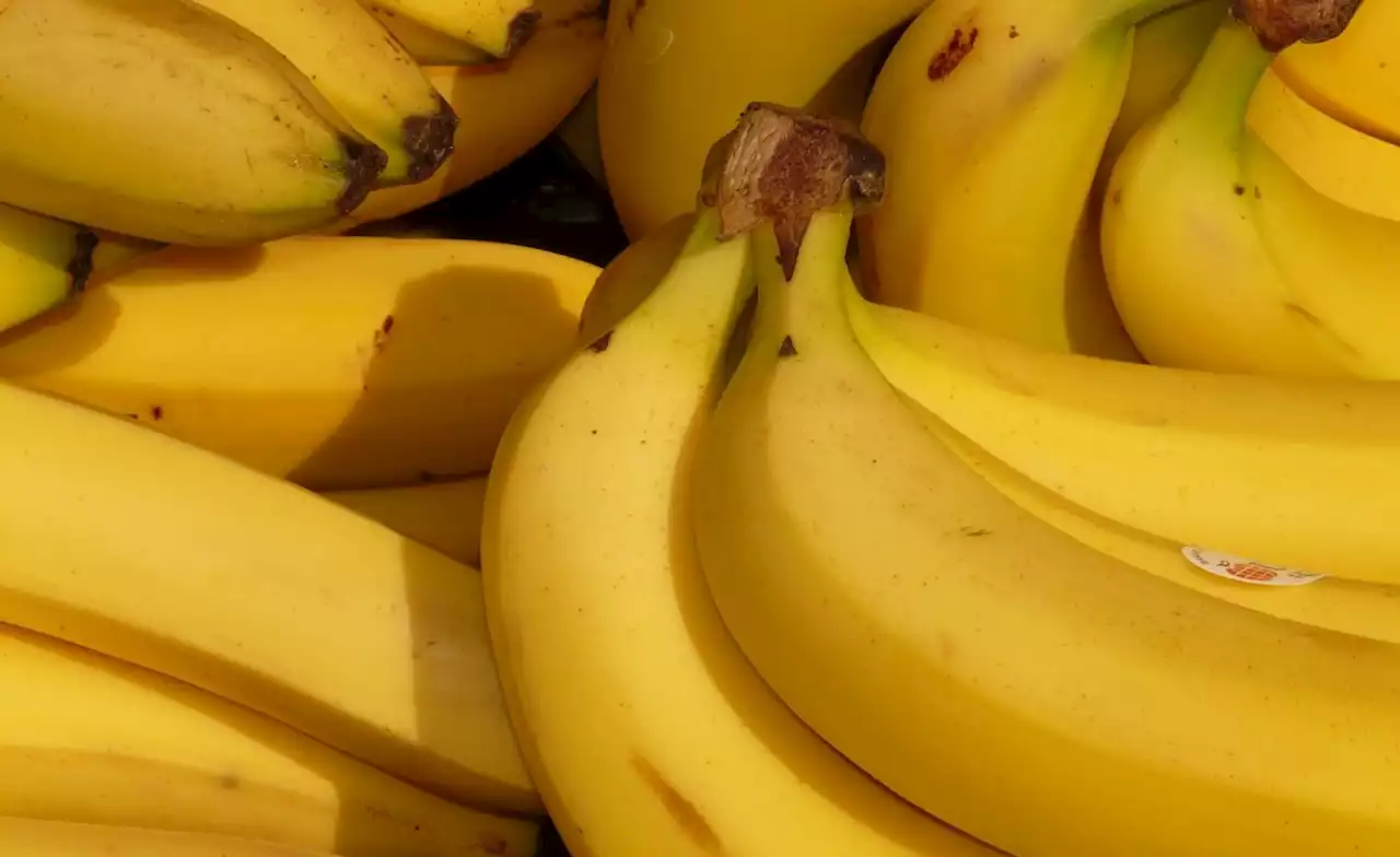 Tanzania: Isles Govt Says Ban On Banana Imports to Stay