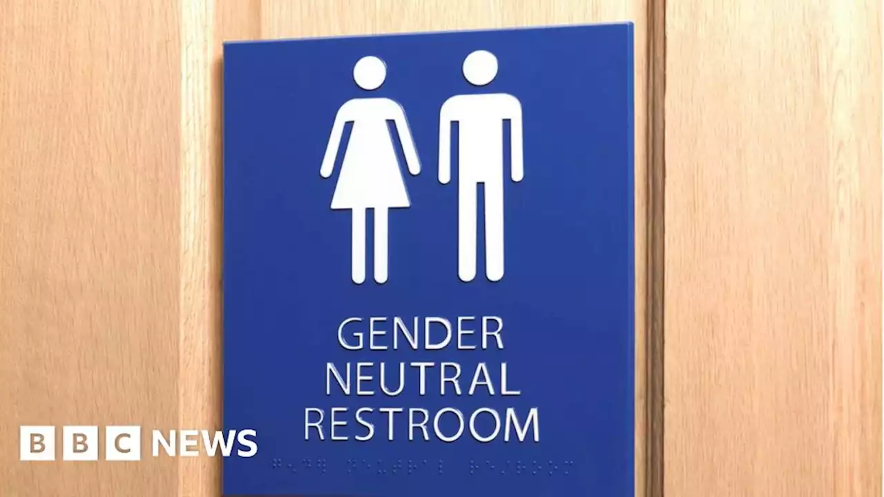 Council's gender neutral toilets discriminated against female clerk