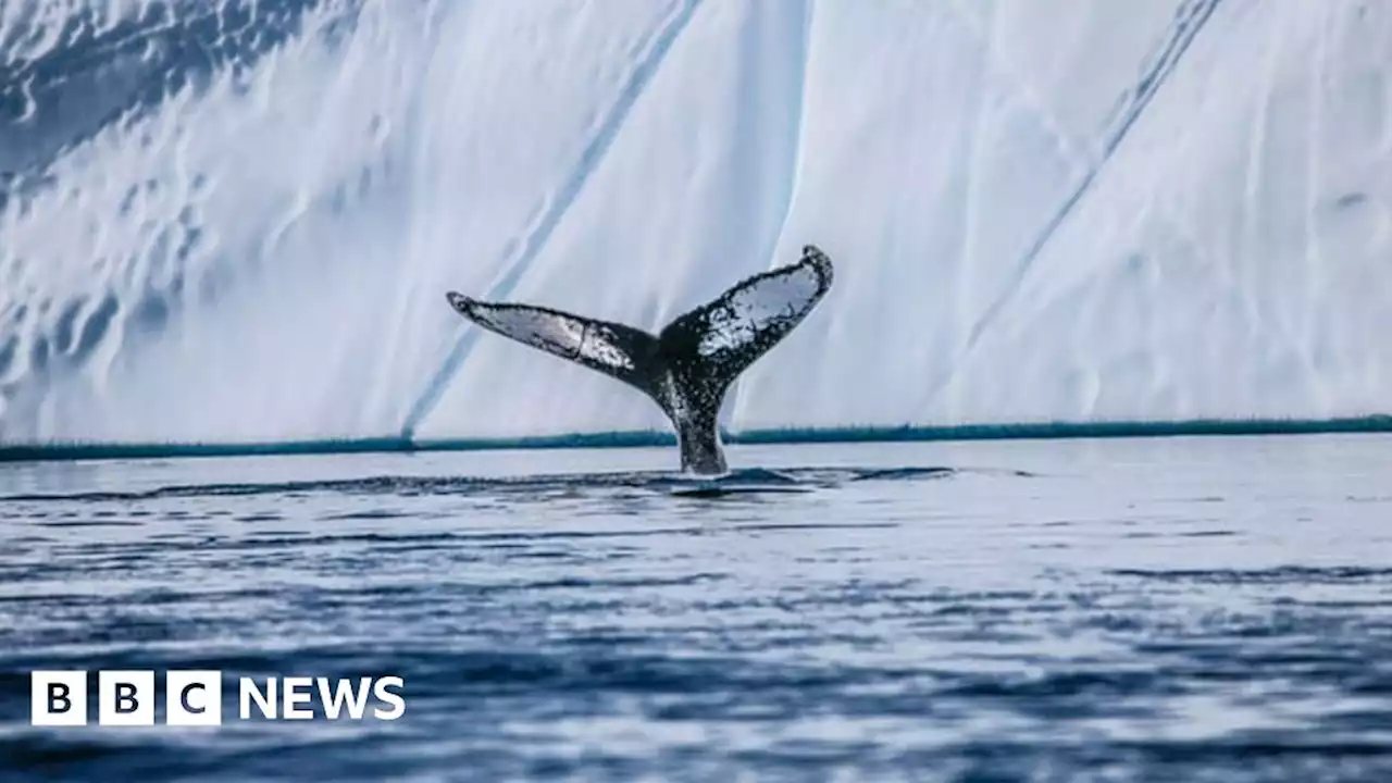 Young nature photographers compete for award