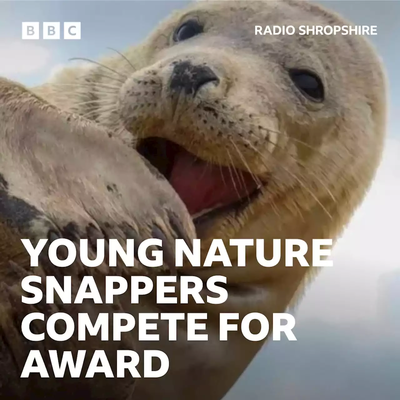 Young nature photographers compete for award