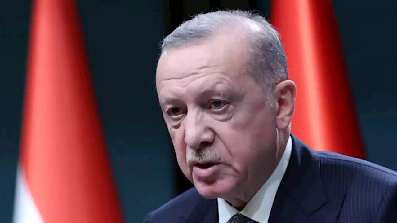 EN DIRECT - Le président turc Erdogan admet des 'lacunes' dans la réponse apportée après les séismes