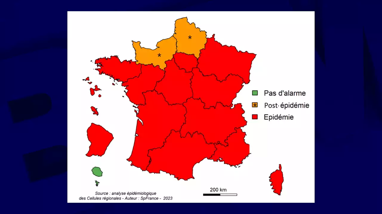 Grippe: le rebond de l'épidémie se confirme en France