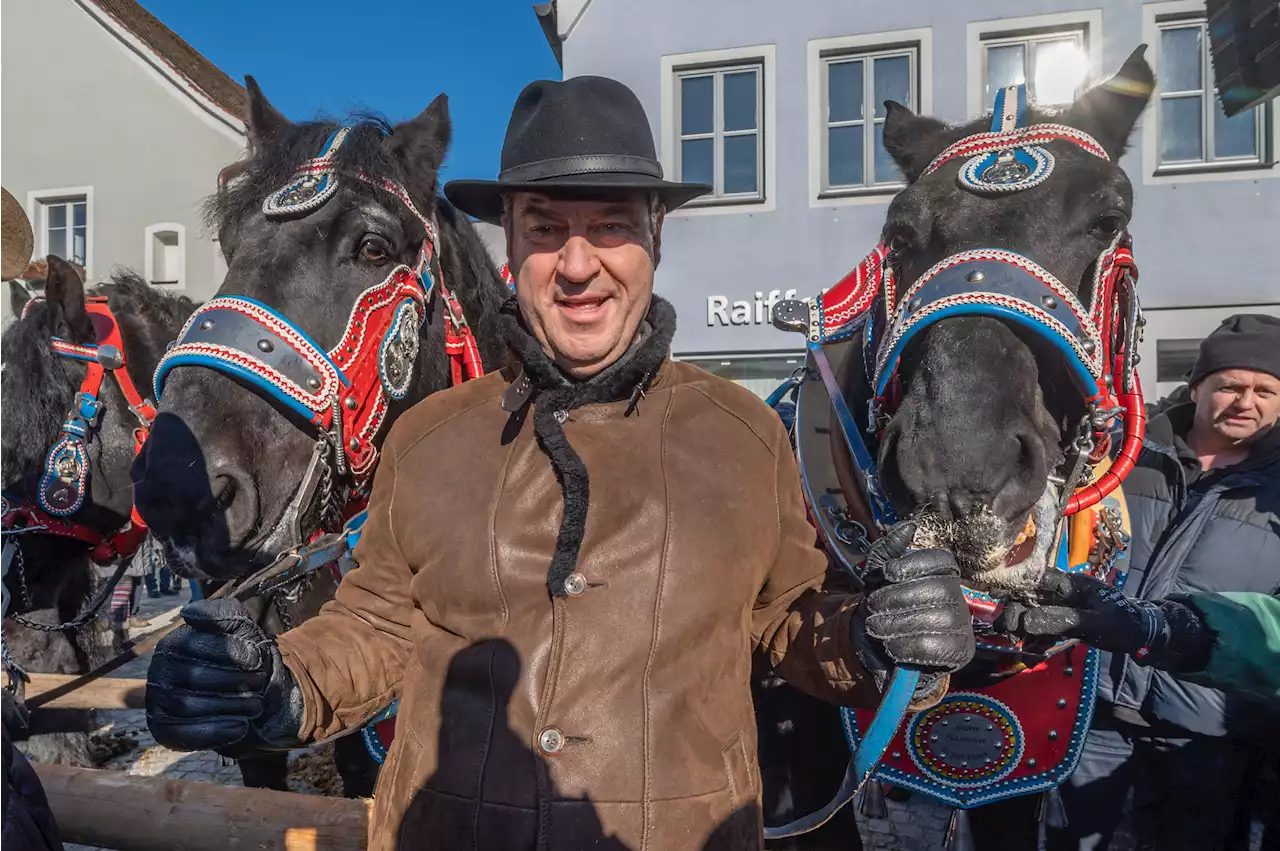 Nach Corona-Pause: Ausnahmezustand beim Berchinger Rossmarkt