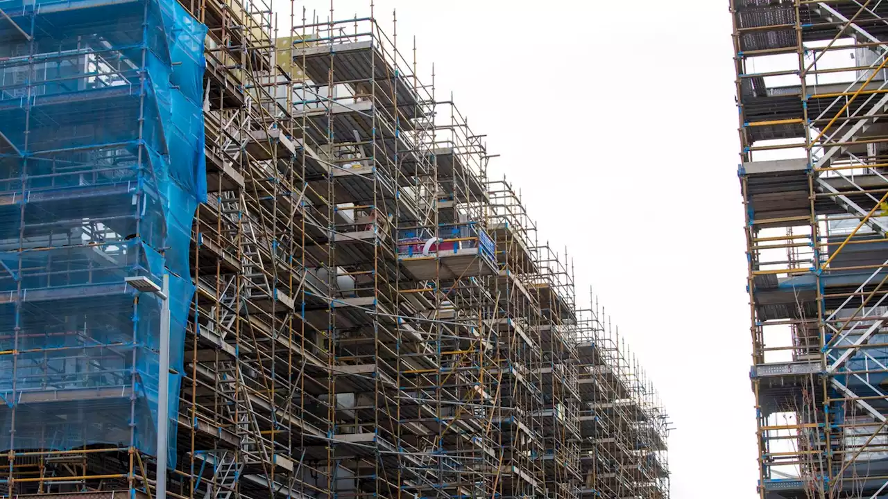 Number of new homes started falls by double digits as building slows