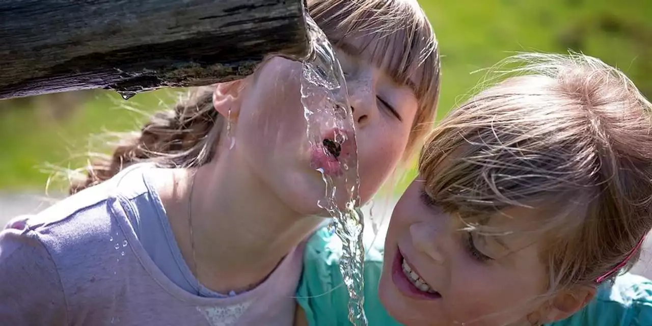 'Amazing News': EU Proposes Ban on Toxic 'Forever Chemicals'