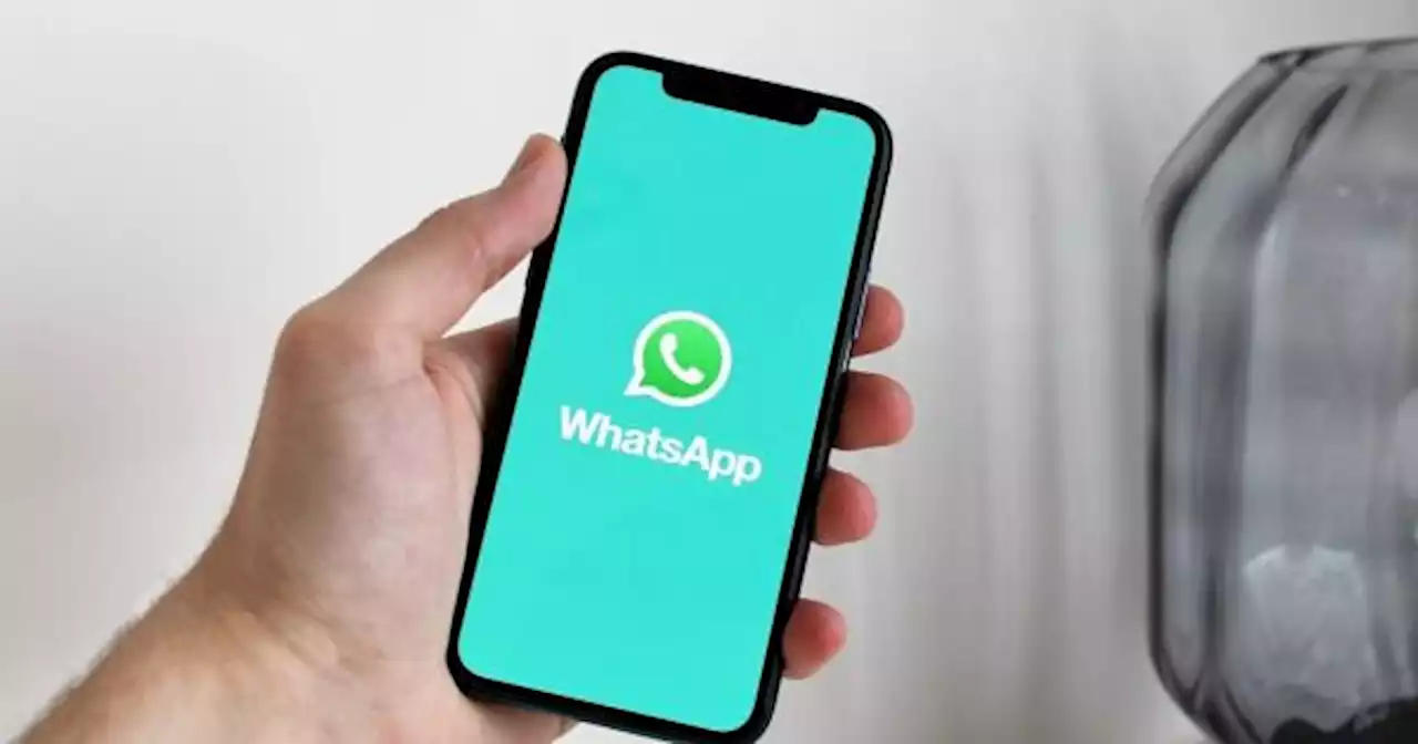 �Gracias WhatsApp! Las 6 funciones que los usuarios ped�an a gritos llegan a la aplicaci�n