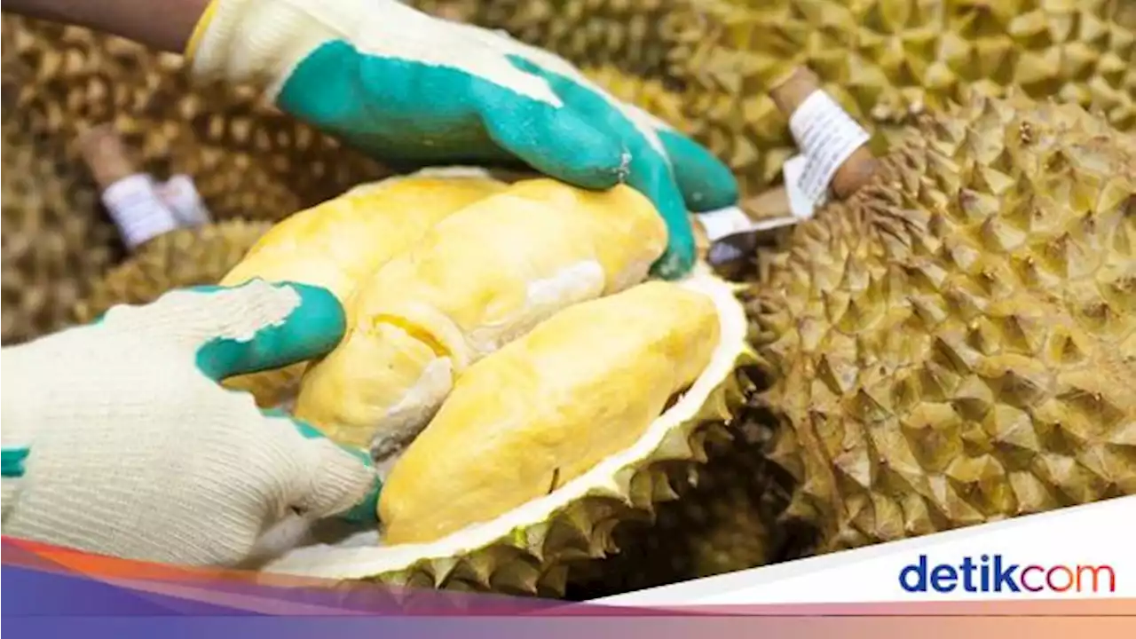 5 Mitos Makan Durian yang Banyak Dipercaya, Ini Faktanya