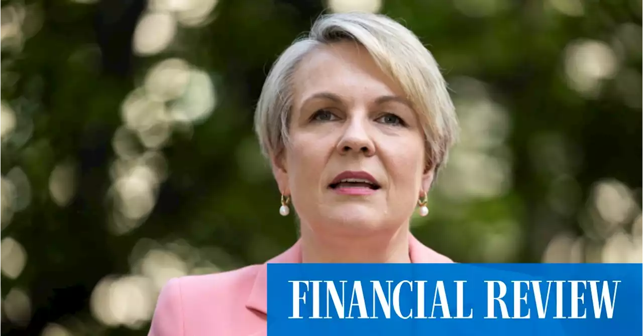 Plibersek kills Clive Palmer’s coal mine